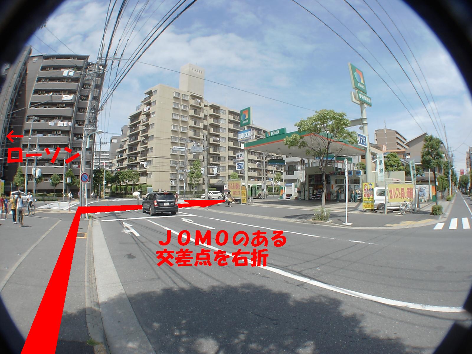 JOMO�̂�������_