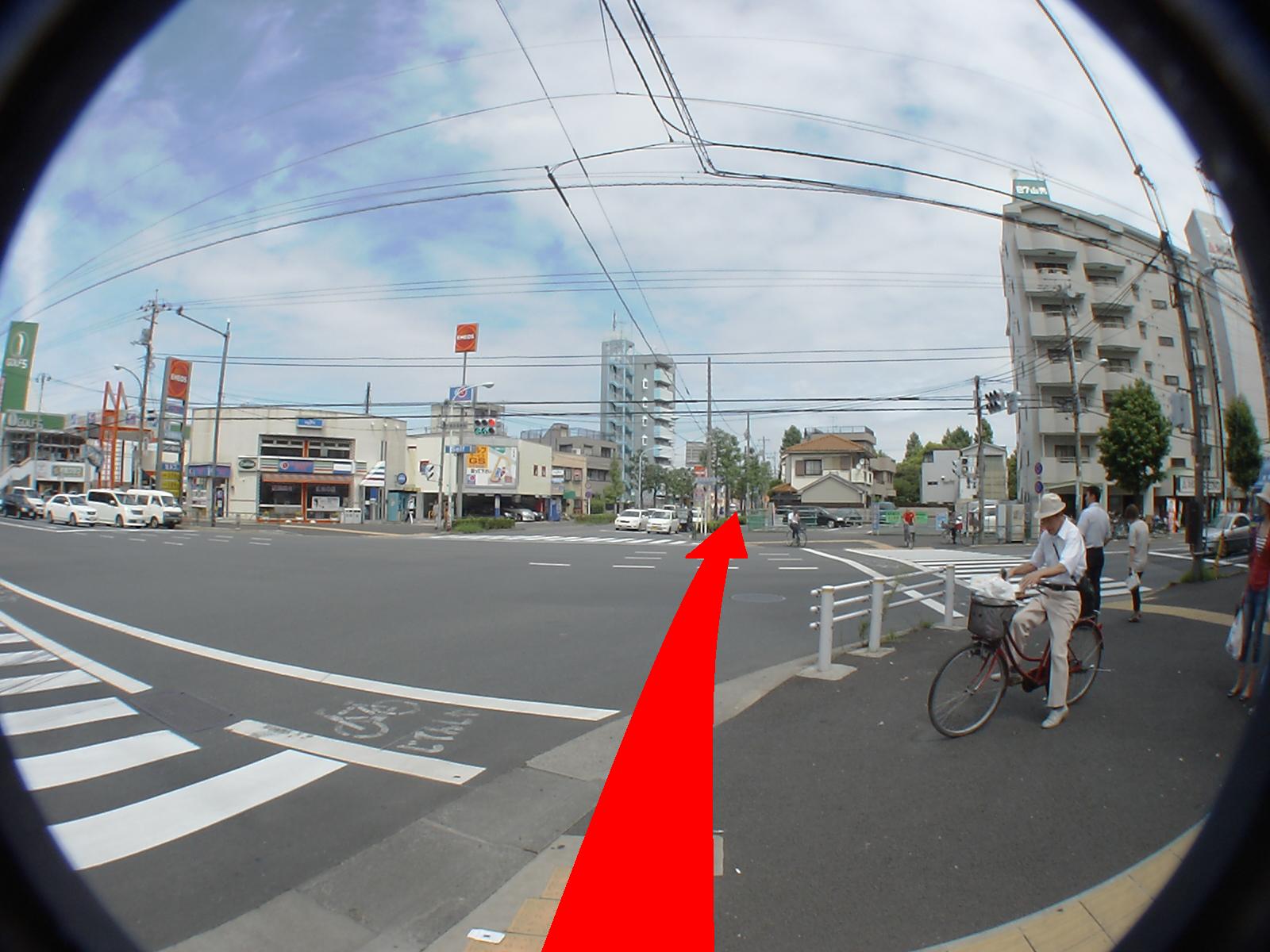 �傫�Ȍ����X