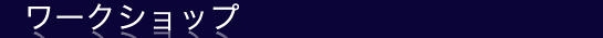 ワークショップ