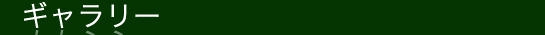 ギャラリー